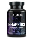 Leviathan Betaine HCl com Pepsin & Ginger - Enzimas Digestivas Suplemento para Digestion Ajuda & Suporte, Ácido Estômago & Absorção Nutriente