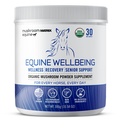 Om Mushroom Matrix - Equine Bem-Estar Os EUA cresceram em pó de cogumelos orgânicos de grau humano Mostrar seguro cavalo suplemento   , Bem-Estar, Recuperação, & Apoio Sênior , 300 gramas, 10.5 oz