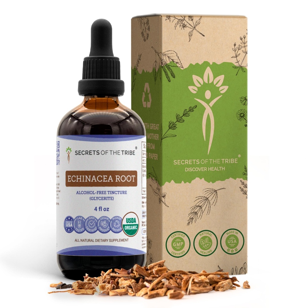 Echinacea Raiz USDA Tintura Orgânica Extrato Livre de Álcool, Drops de Ervas de Alta Potência, Saúde do Sistema Imune