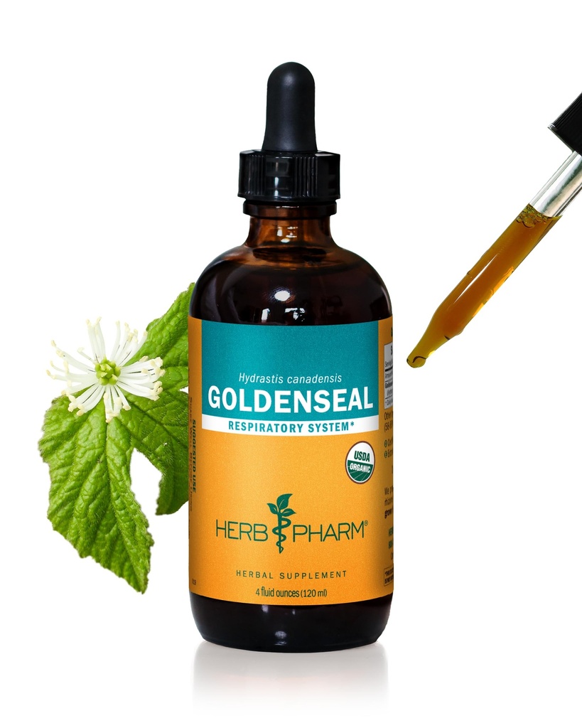 Herb Pharm Certified Goldenseal Liquid Extract for Respiratory System Support - 4 Once