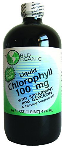 Orgânico Mundial Líquido Clorofila com Spearmint, 16 Onça Fluída