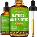 Antibióticos do cão com sabor de frango Сat Antibióticos para Infecção, ITUs, Alergias, Nariz Runny □ Suporte Digestivo