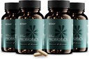 BIOMA Probióticos para gestão de peso e saúde digestiva, 3 em 1 Gut Saúde Probióticos e Prebióticos/Postbióticos, Slow Release Synbiótico Probiótico Cápsulas para Gut Saúde Multi Enzima (240 Caps)