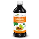 Suporte de Plaqueta de Folha de Papaya de Bondade de Ervas - 15X Blood Platelet Boost, Bone Marrow & Spleen Support, Imune & Gut Health, Enzima Digestiva - Extrato Líquido Orgânico Kosher 16 oz