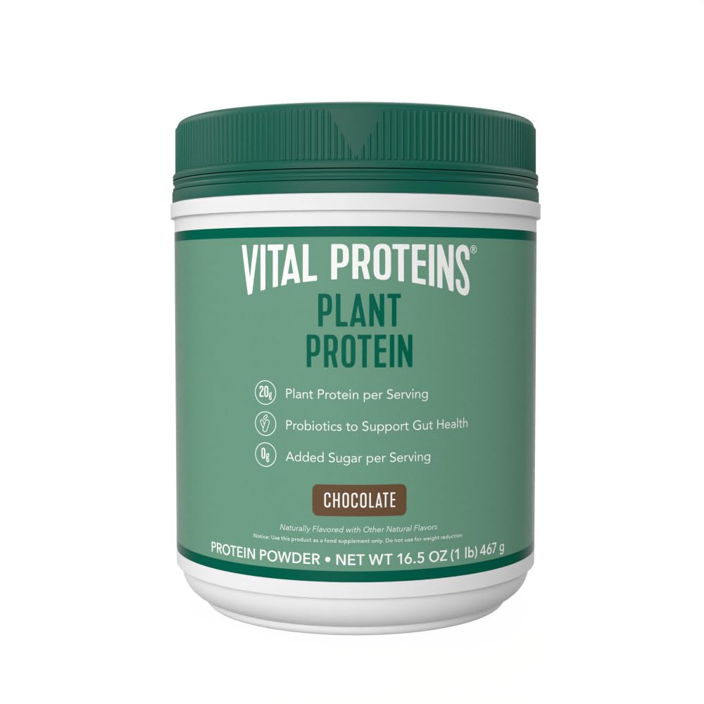 Proteínas Vitais Proteína Pó – 20g Proteína Baseada em Planta com grão de bico – 1B UFC Probiótico para Gut Health, Sem Açúcar Adicionado – Chocolate, 16.5 oz