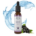 Gotas de harmonia linfática do tesouro enterrado - 2 onças, 30 Servos, Suplemento linfático com Cleavers, Burdock, Echinacea, e Astragalus