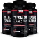 FORCE FACTOR Tribulus Terrestris para Homens, 3-Pack, Tribulus Testosterona Booster para Homens, Suplemento de Vitalidade Masculino, Extrato de Tribulus e Ingredientes Naturais para Absorção Superior, 1000mg, 180 Cápsulas