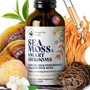FELIZ FOX Irish Sea Moss Liquid Drops & Mushroom Tincture - Seamoss with 7 Adaptogenic Mushroom Extracts for Cognitive Support & Gut Health, Mushroom Coffee Elixir, Pure Vanilla Flavor