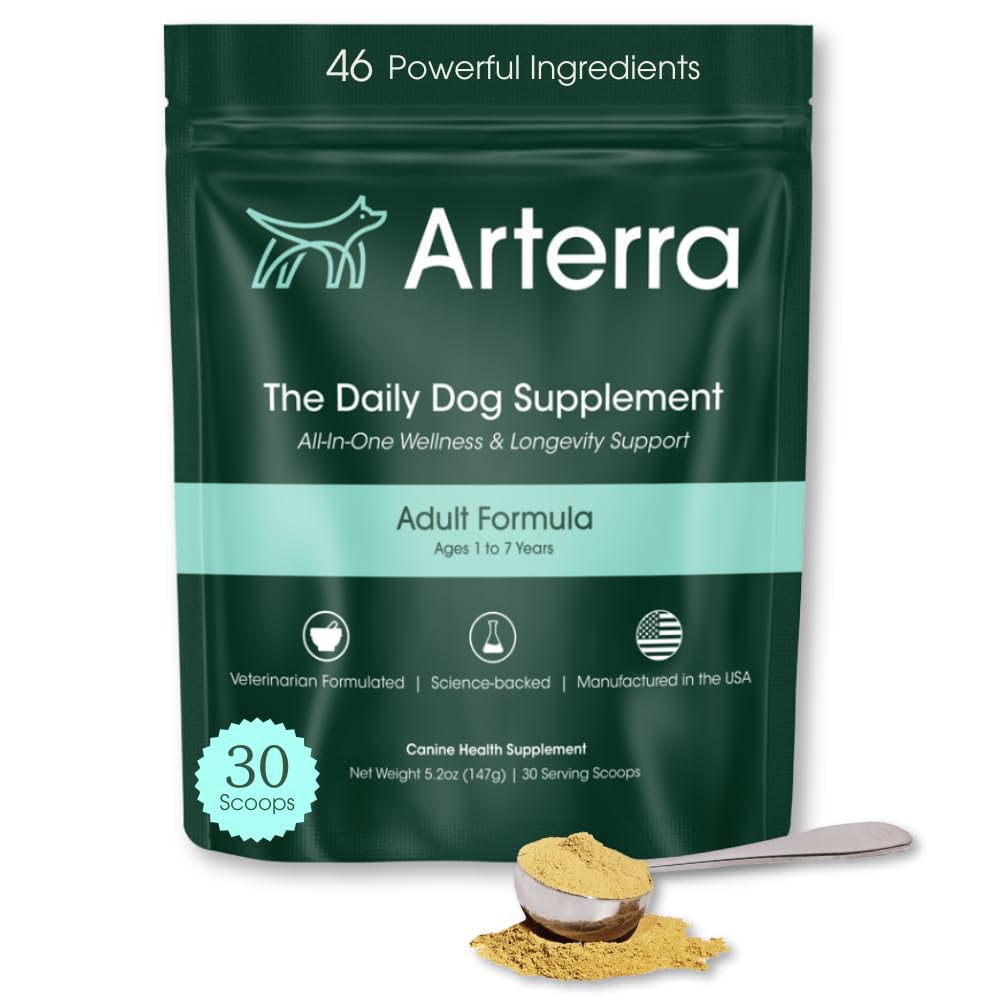 Adulto cão em pó suplemento e alimento Topper – 46 Ingredientes para Gut, Imune & Saúde do Cérebro – Multivitamin longevidade diária para todo o bem-estar do corpo