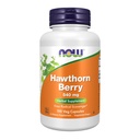 NOW Foods Supplements, Hawthorn Berry 540 mg, Free Radical Scavenger*, Herbal Supplement, 100 Veg Cápsulas