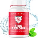 SIBO (tratamento de grau clínico) Alívio de SIBS Bloating, Diarréia, Esvagadiça, Gás