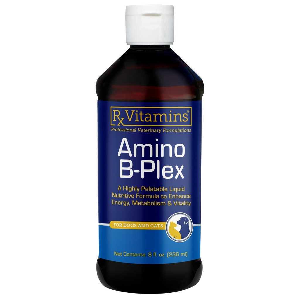 Rx Vitaminas Amino B-Plex Cat & Dog Supplement - Vitamina B Complexo Líquido Plus Aminoácidos para Cães e Gatos - Apetite Booster e Gato & Dog Weight Gainer - Suplementos e Vitaminas - 8 onças