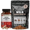 DailyNutra KSM 66 Ashwagandha (90 Cápsulas) e Cogumelo Cacao Mix (16 onças)