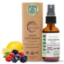 Orgânico ZINC Boost Mist 40 mg (Força extra) - Açúcar livre com Vit C e extrato de elderberry - Vegan Liquid Spray para Crianças e Adultos - Fácil Absorção - Não-GMO - (60 ml) 60 dias de fornecimento