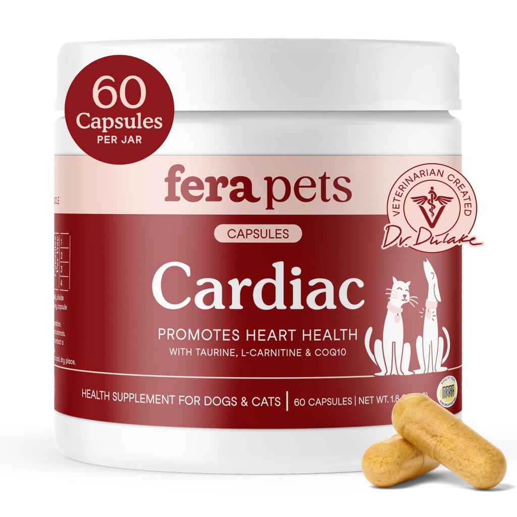 Fera Pets Cardiac Support - Cat & Dog Heart Supplement with Taurine, L-Carnitine, & CoQ10 - Promove a circulação normal e batimento cardíaco - 60 Cápsulas