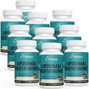 2400 MG Glutationa lipossómica Softgels, Absorção Max, Forma ativa L-Glutationa Reduced (GSH), com Ácido Hialurónico, Resveratrol, Master Antioxidants para Detox, Cérebro, Sistema Imune, 600 Softgels
