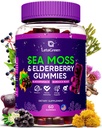 Gomas de musgo do mar irlandês – Besouro Burdock Elderberry Vitamina C & Zinco – 60 Vegan Seamoss Gummy Bears para Adultos Crianças Homens Mulheres – Vitaminas multiminerais Elderberry