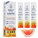 Sal da Terra Eletrólito Zero-Sugar Premium - Made with Pink Himalayan Salt - Hydration Powder Packets