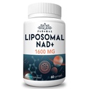 1600 mg Suplemento NAD lipossômico, 98% Puro NAD+ Suplemento, Absorção Superior, Alternativa à Nicotinamida Riboside ou NADH para aumentar NAD+ para defesa do envelhecimento, energia, longevidade, 60 Softgels