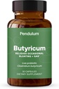 Pêndulo GI Reparar Um Suplemento Probióticos e Homens - Aumenta Butirate, Melhora a Saúde Gut, Alivia Desconforto Ocasional GI, Bloating, & Diarréia. Contém Clostridium Butyricum, 30 Count