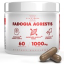 Fadogia Agrestis 1000mg por suplemento de serviço - Extrato potente para aumentar a energia, desempenho atlético e massa muscular - Suplementos, fabricados nos EUA (60 Cápsulas)