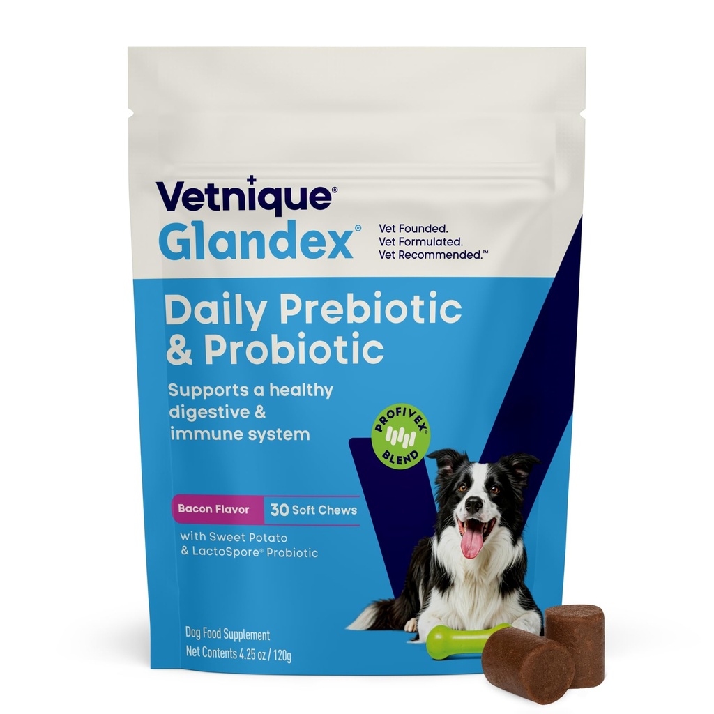 Vetnique Glandex Probióticos diários para cães com prebióticos para apoiar a saúde da tripa com fibras e enzimas digestivas, mastigas probióticas ou pós (30ct mastiga, mastiga de bacon)