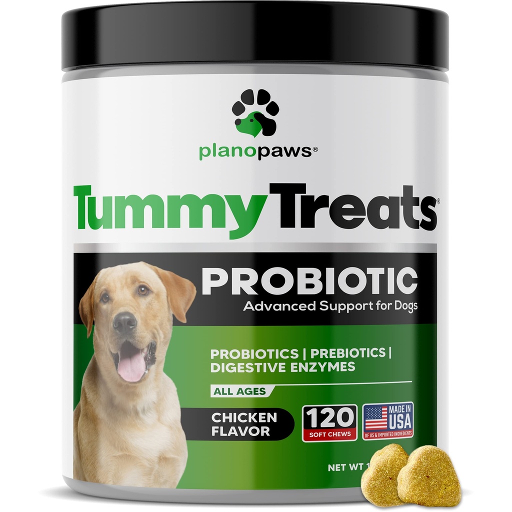 Probióticos para Cães Saúde Digestiva - Dog Probióticos e Enzimas Digestivas - Alergia Alívio para Cães - Probiótico para Cães Gut Saúde - Cachorrinho Probiótico Tummy Doces - 120 Dog Probiótico Mastiga