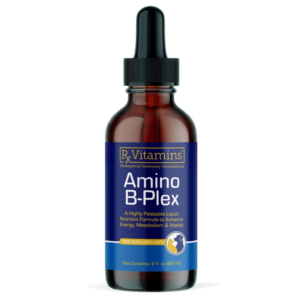 Rx Vitaminas Amino B Plex Cat & Dog Supplement - Vitamina B Complexo Líquido Plus Aminoácidos para Cães e Gatos - Apetite Booster e peso Gainer Cat & Dog Vitaminas - 2 onças