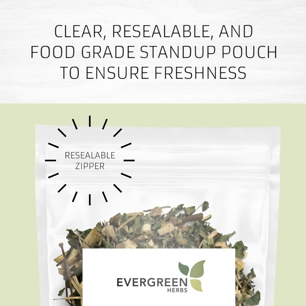 Evergreen Herbs Cuachalalato Herb (Amphipetyglum Adstringens) - Resealable Stand Up Pouch para garantir a frescura! (Malas de chá)