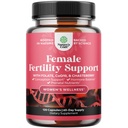 Suplemento de fertilidade para mulheres com multivitamínicos pré-natais - Apoio de fertilidade feminina com pré-natal choline inositol folato chasteberry e CoQ10 mistura de fertilidade para as mulheres para promover a concepção mais rápida