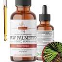 Saw Palmetto Tintura Premium Extrato de Ervas sem Álcool de Saw Palmetto Berries Suplemento Botânico Líquido Fórmula Tradicional de Ervas Made in USA - 2 oz (60 ml)
