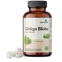 Futurebiotics Ginkgo Biloba Força extra suporta função cerebral e suporte de memória, 250 cápsulas vegetarianas