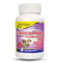 Arymar Chanca Piedra com Cranberry – Suporte de ervas para bem-estar urinário e função renal (60 cápsulas)