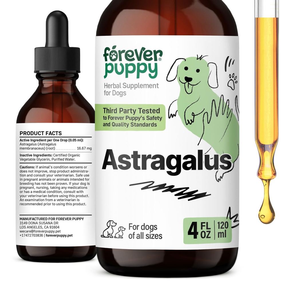 Para sempre Puppy Astragalus Root Drops para cães - Astragalus Membranaceus Extract para suporte imunológico de cães - Herbal Pet Suplementos Líquidos para Imunidade e Cuidados de Animais Alegres - 4 onças