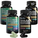 Boysea. Shilajit e Sea Moss Bundle- 90 Conde - Sea Moss, Black Seed Oil, Ashwagandha, Ginger & Shilajit, Rhodiola Rosea, Tudo em 1 Suplementos (2 Pc)