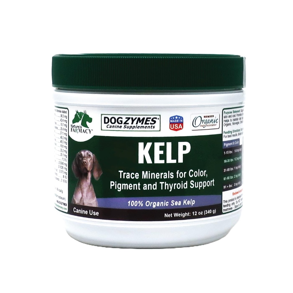 Dogzymes Orgânico Norueguês Kelp para Animais de estimação, uma Fonte de Nutrição Valiosa Rico em Iodo para apoiar a função Gland, especialmente a tireóide (12 Once)