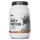 Níveis de proteína de whey alimentado de grama em pó, sem artificiais, 24G de proteína, Chocolate puro, 2LB