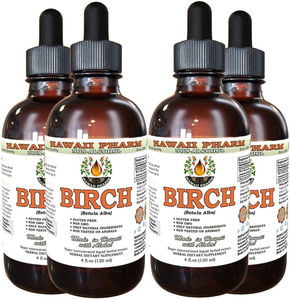 Extrato líquido livre de álcool, Birch (Betula Alba) Bark seco Glicerite Hawaii Pharm Natural Herbal Supplement 4x4 oz