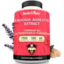 Nutrivein Premium Fadogia Agrestis e Tongkat Ali Suplemento com Turkesterone - 1100 mg - 120 Caps - Mistura Sinergística para Desempenho, Força, & Recuperação para Homens e Mulheres de Todas as Idades