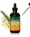 Herb Pharm certificado Astragalus líquido extrato orgânico para suporte do sistema imunológico - 4 Onça