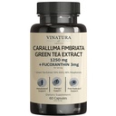 VINATURA Caralluma Fimbriata, EGCG 45% Extract 1250mg + Fucoxantina 3mg por serviço * EUA Made & Tested* para suporte imunológico, energia e foco mental - 60 Cápsulas 30 Servimentos