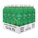 Chlorophyll Water – Liquid Chlorophyll 12-Pack (16.9 oz) □ Vitamina A, B12, C, D □ Detox Cleanse, Água alcalina, Energia Boost □ Água de vitamina