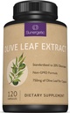 Premium Olive Leaf Extract Cápsulas – Padronizado a 20% Oleuropein – Super Força Olive Leaf Suplemento Exato Suporta Sistema Imune & Saúde Cardiovascular – 750mg Por Cápsula – 120 Cápsulas