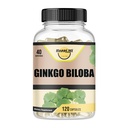 Ginkgo Biloba 1800mg, Ginkgo Biloba Suporte à função orgânica, memória e cérebro, melhora a concentração e suporte cognitivo, claridade, 120 bonés vegetarianos, não OGM, 120caps