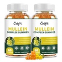 (120 pcs) Gummies de Mullein para Detox Pulmões– Extrato de Folha de Mullein com Quercetin, Elderberry para suporte respiratório e imunológico, respiração e limpeza de pulmão para fumantes, Vegan, flavor de abacaxi, (2 pacote)