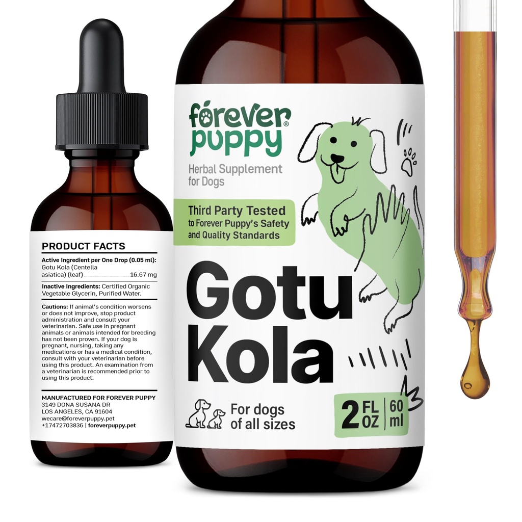 Forever Puppy Gotu Kola Drops para cães - Centella Asiatica & Gotu Kola Extract para apoio à saúde do cérebro - Suplemento de cérebro líquido para cães de todas as raças e tamanhos - 2 oz