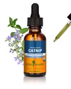 Herb Pharm certificado Catnip extrato líquido orgânico para acalmar o suporte do sistema nervoso, 1 Fl Oz