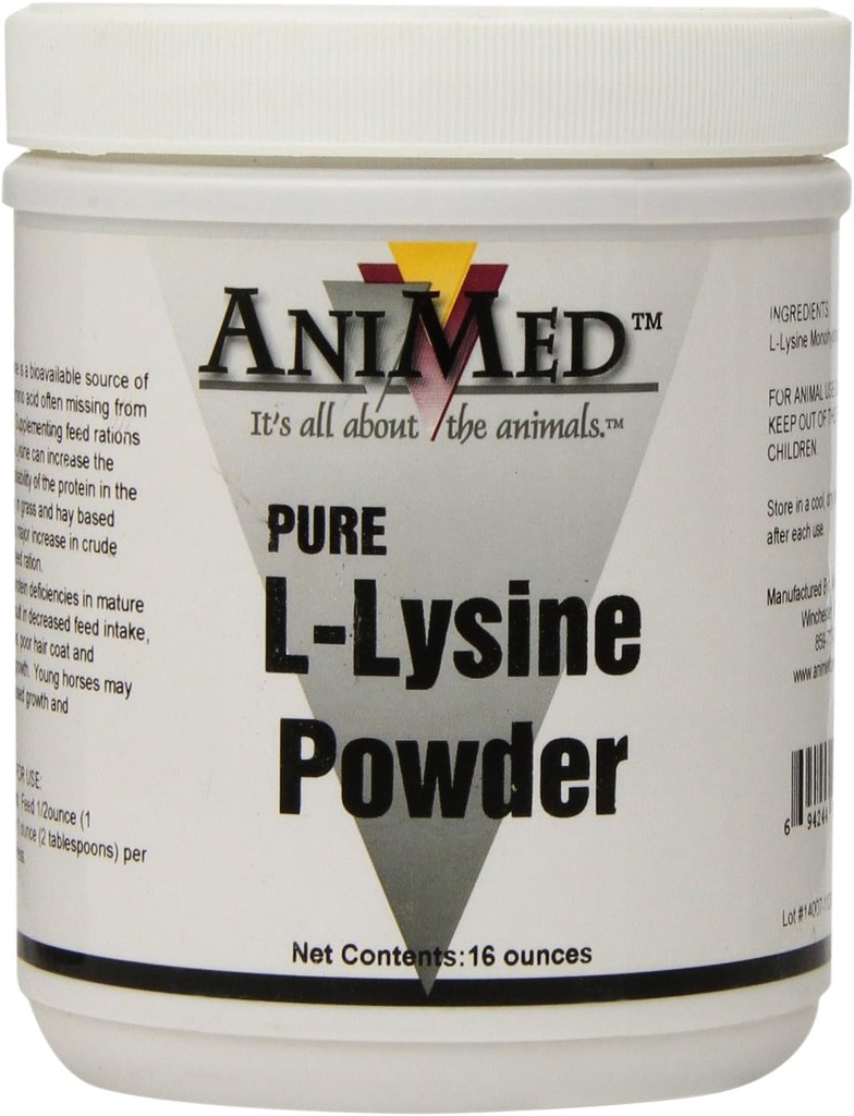 AniMed L-Lysine para cavalos, 16-Onça