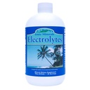 Eletrólitos de Eidon - Drops de Eletrólito Líquido, Suplemento Mineral Iônico para Adicionar à Água, Recompor e Equilíbrio de Eletrólito, Suporte de Hidratação, Açúcar Sem Adoçante - 18 onças