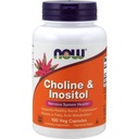 NOW Choline e Inositol 500mg, 100 Cápsulas (Pacote de 2)